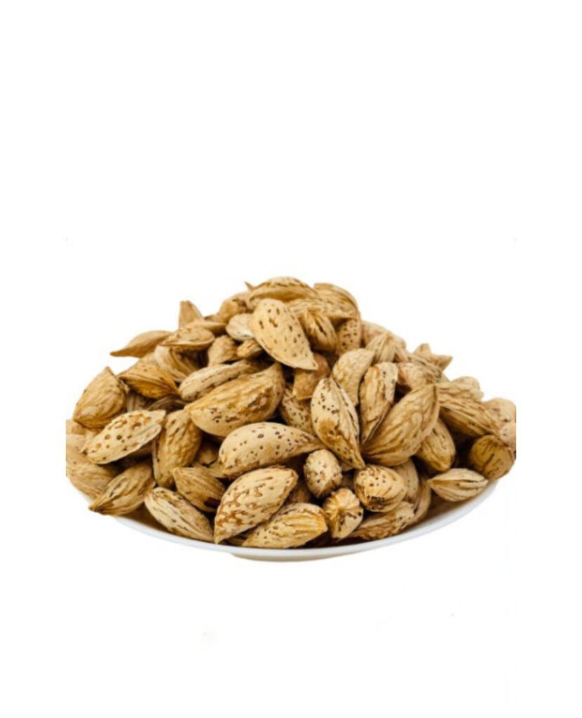 InShot_20241119_180937549